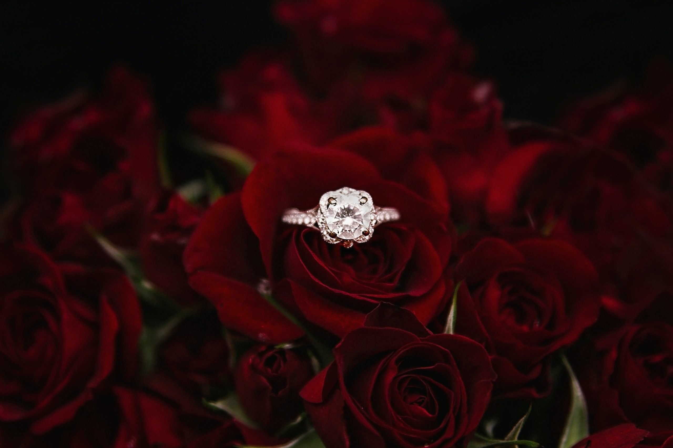 Verlobungsring in roten Rosen beim Heiratsantrag Tipps Hochzeitsblog fiderallala Traumhochzeiten